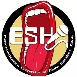 声动传媒 中国传媒大学Beatbox社的节奏艺术与文化传播